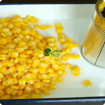 Conserves de légumes maïs en grains